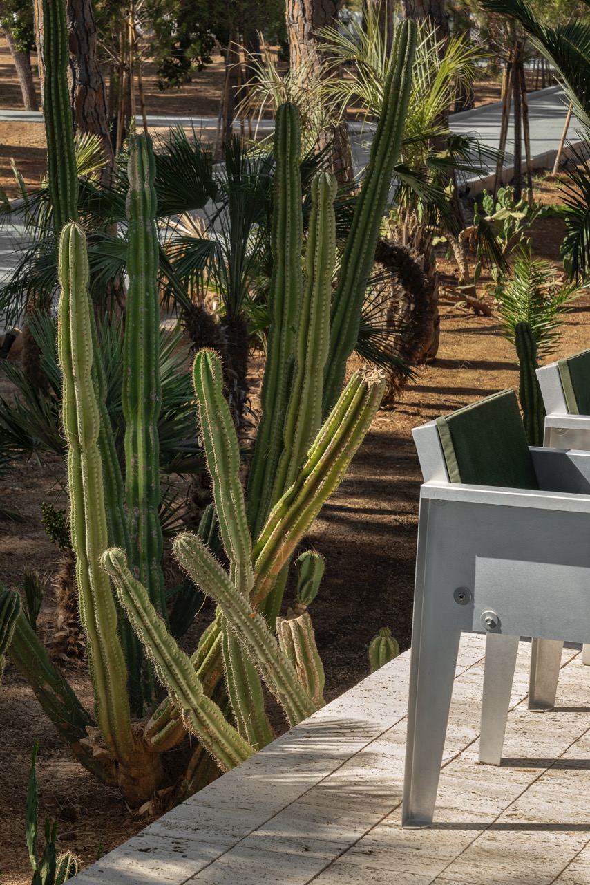 Villa Pineta outdoor space 2