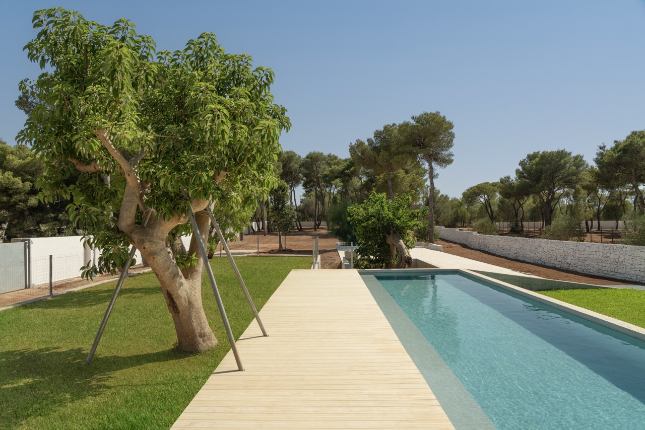 Villa Pineta pool and terrace