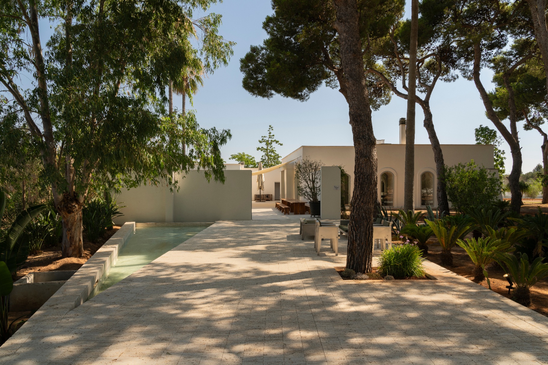 Villa Pineta pool terrace and pines